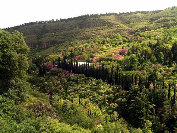 حديقة النّباتات الوطنيّة في جورجيا